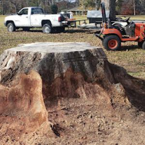 Clay Bryan's Stump Grinding