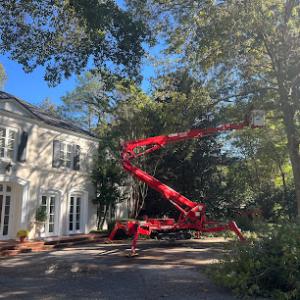 Clear Waters Tree Service