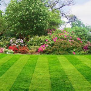 Freddie Mac's Mowing & Total Home Solutions