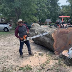 Sure Tree Landscaping Inc - Tree Removal Mt Pleasant TX Tree Trimming Services, Stump Removal