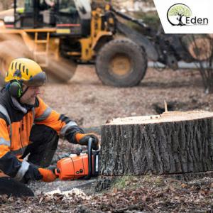 Eden Tree Company