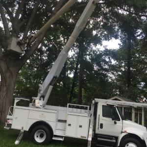 Allied Tree Company
