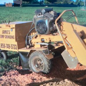 Jamie's Stump Grinding