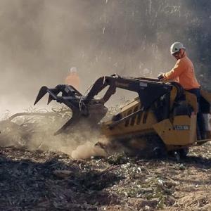 Central City Tree Service