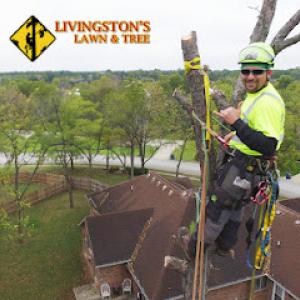 Livingston's Lawn & Tree Service