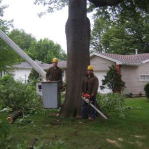 Joe's Tree Service