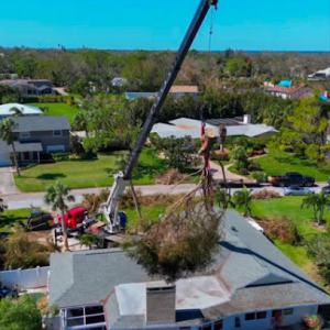 Eagle Eye Tree & Land services