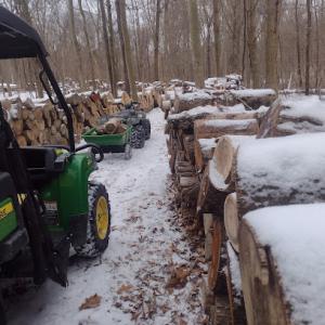 Full throttle tree & landscaping