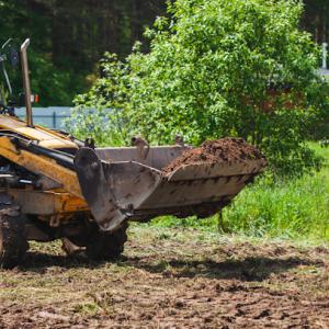 Belleview Tree Services