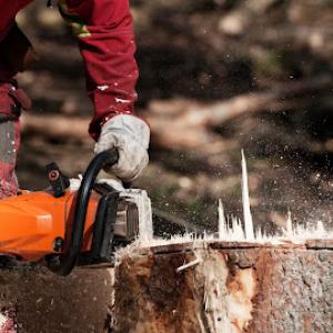 Modern Stump Removal