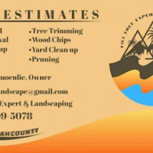 FILI Tree Expert & Landscaping