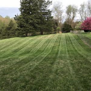 Caballeros Tree Service & Landscaping