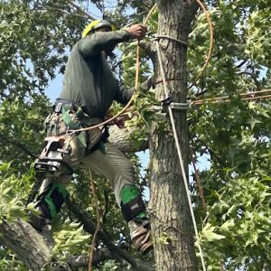 Jose’s Landscaping