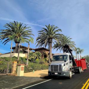 Jorge Salinas Tree Service