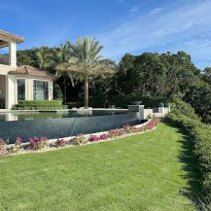 Tamar Palm Landscape, Inc. - Tree Installation & Removal