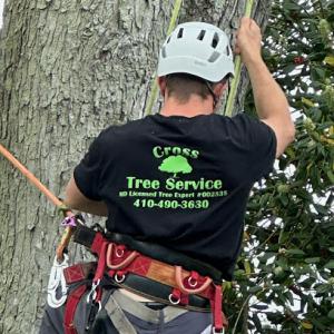 Cross Tree Service