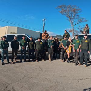 SkyView Tree Experts