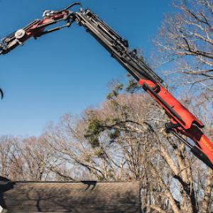 Carolina Tree Company