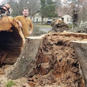 Cothran's Tree Service