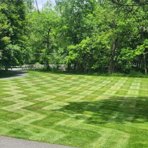 Morgan & Son Lawn Care & Landscaping