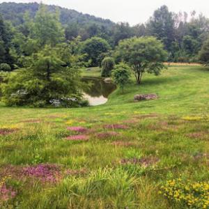 Nature Works Land Care