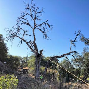 Highground Excavating & Tree Service