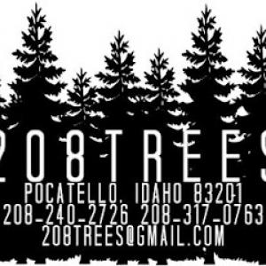 208 Trees