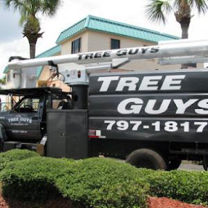 Tree Guys of St. Augustine