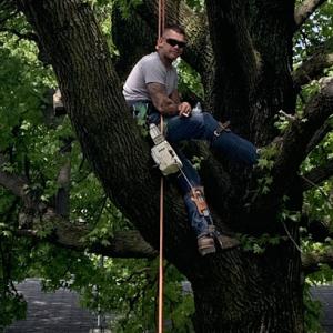 Weaver Tree Service