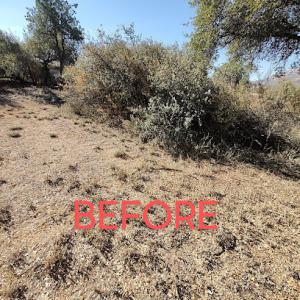 B&R Services. firewood tree work & junk removal