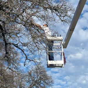 Jimmy's Tractor & Tree Service