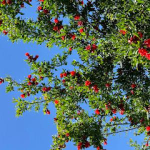 Plantation Lake Construction & Ag Services