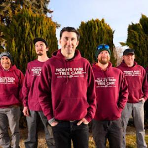 Noah's Park Tree Care