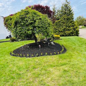 R Santos Landscaping