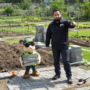 Green Vine Landscaping