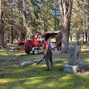 Tipline Tree Service