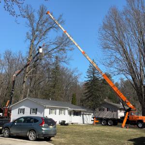 Thurston Logging & Tree Service