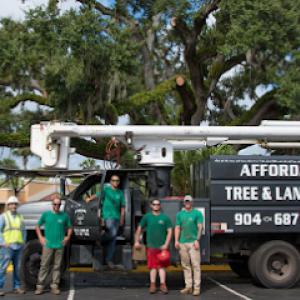 Affordable Tree & Landscape