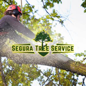 Segura Tree Service - Tree Trimming in Santa Barbara
