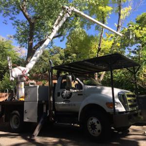 Coates Tree Service