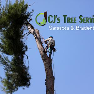 CJ's Tree Service - Sarasota Tree Service