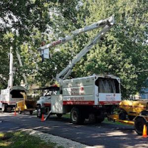 Joe Meyer Tree Service