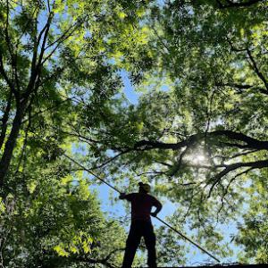 Missouri Arborist Company