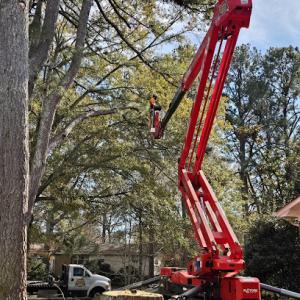 Mullinax Tree Service