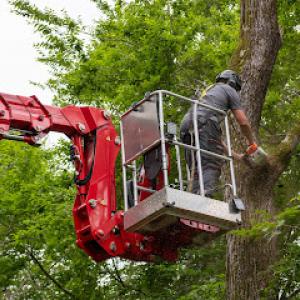 High Canopy LLC | Full Service Tree Care Services & Tree Winter Storm Emergency Work
