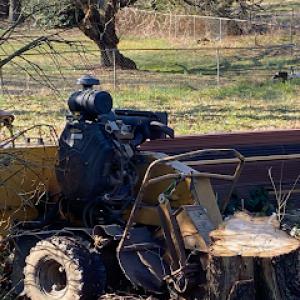 James Lowe Jr Stump Grinding
