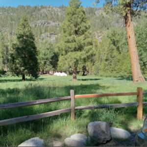 Lugo's Expert Tree Services