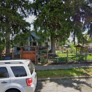 Double Black Diamond Tree Services