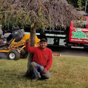 Vasquez tree service & landscaping