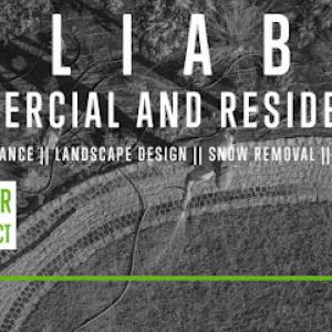 Reliable Lawncare by Joe Carner